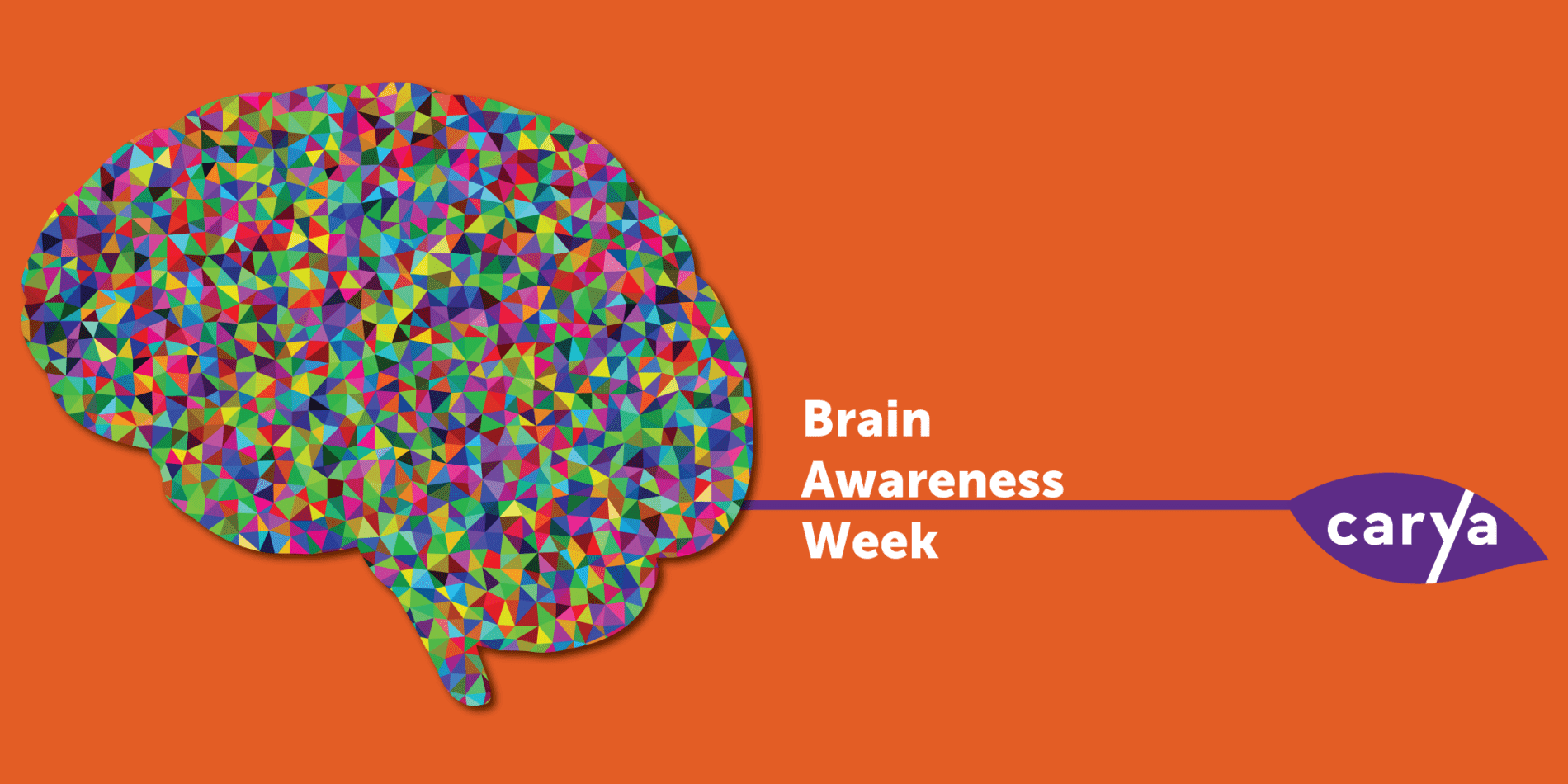 Brain busting puzzles solutions image 4